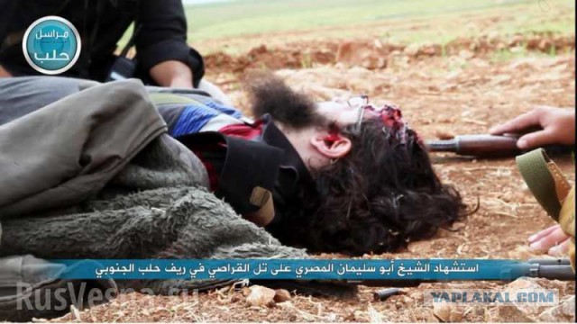 В Сирии уничтожен главарь Джебхат ан-Нусра