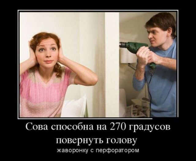 Подборка прикольных фото на пятницу