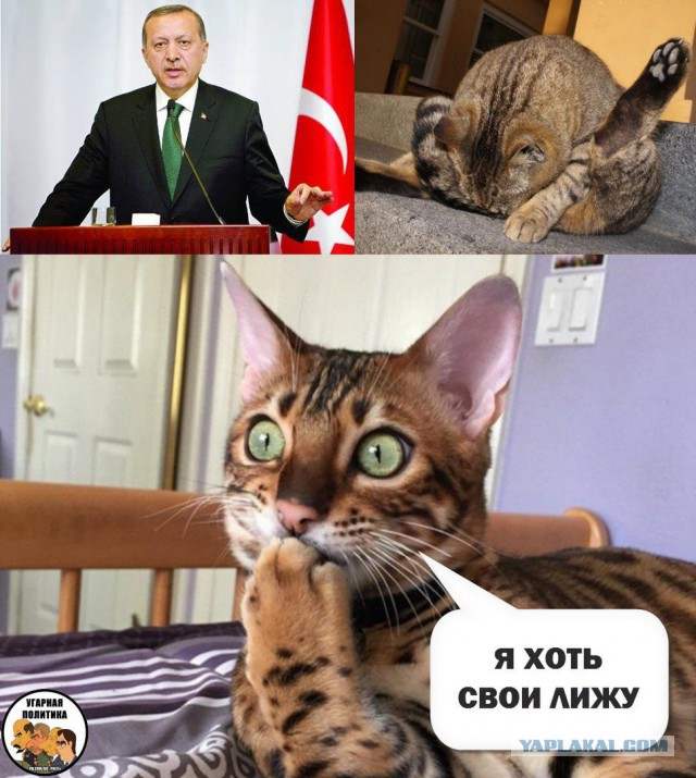 Забавные картинки из Сети