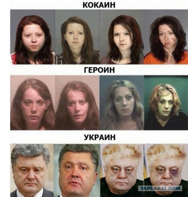 Карикатуры