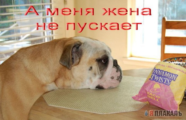Уже да :) Ужо пятнецца...