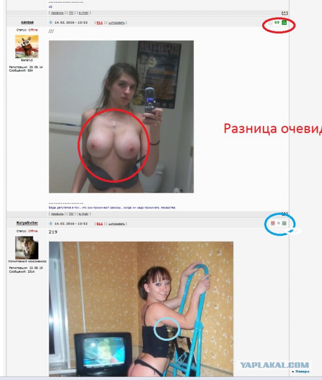 Ужасы и приколы из соцсетей 18+