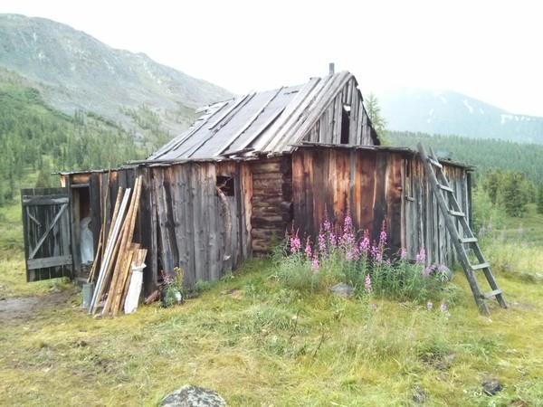 Как я заблудился в тайге, часть 2