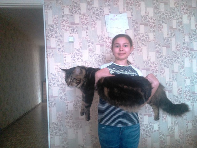 Небольшой фото-отчет ко втонику: мейн-кун Шелдон Купер