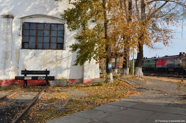 День 13. Сковородино: в медвежьем углу Транссиба