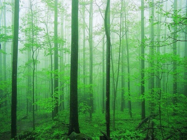 Моменты, запечатлённые на фото и просто позитив 5