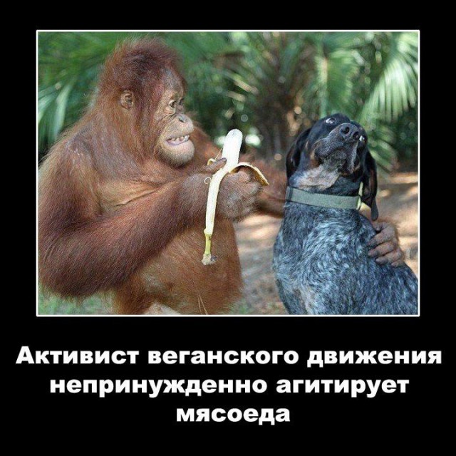 Как заморить ребенка голодом во имя "высоких" убеждений