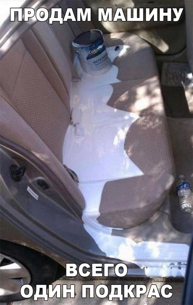 Смешные картинки