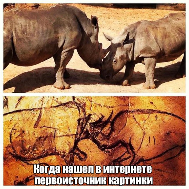 Подборка интересных и веселых картинок