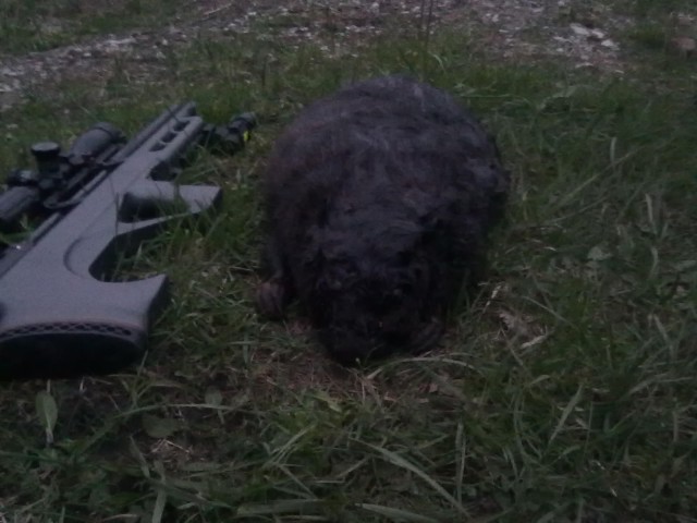 Остановите Землю, я сойду