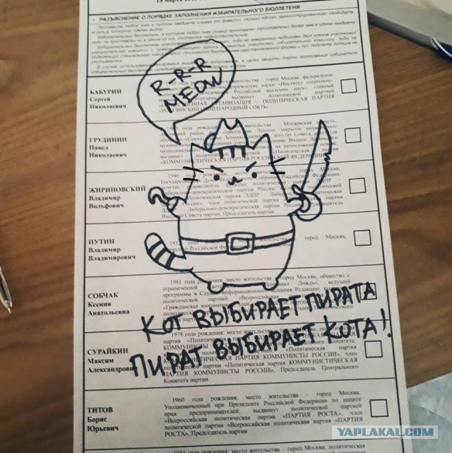 Видеотрансляция выборов 2018