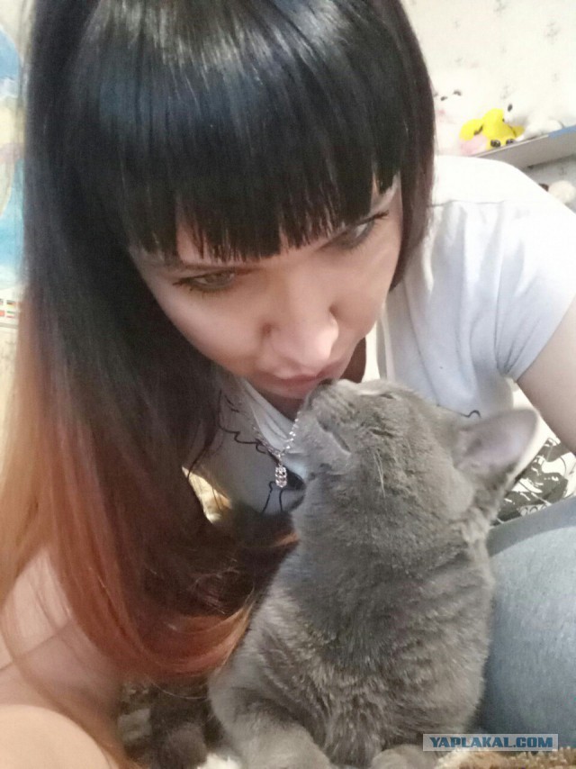 А не открыть бы нам котовторник 03.04.2018
