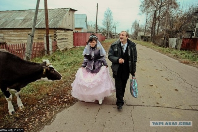 Гульнули.