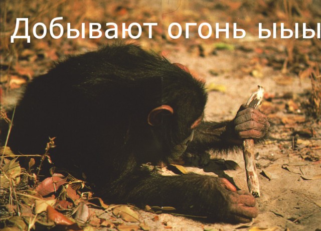 Фотокомикс: А куда ушла жена?
