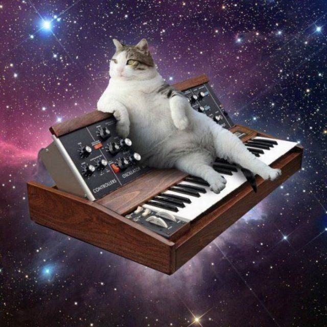 Немного милоты