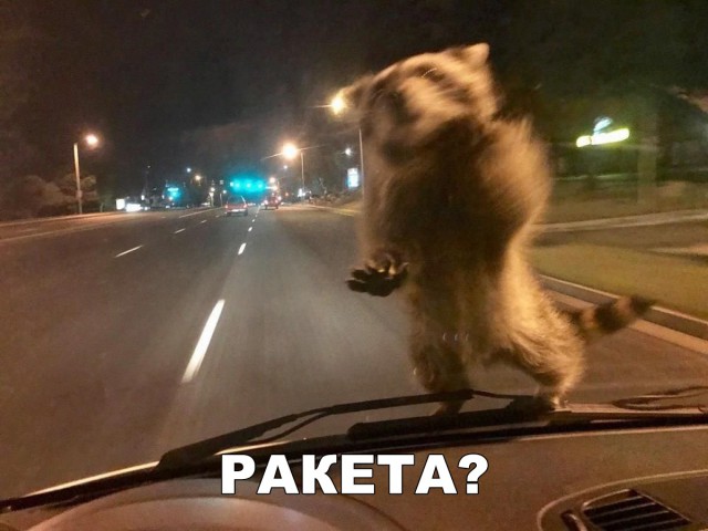 Нестандартный юмор