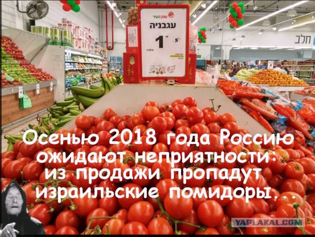 Путин назвал крушение Ил-20 в Сирии «цепью трагических случайностей»