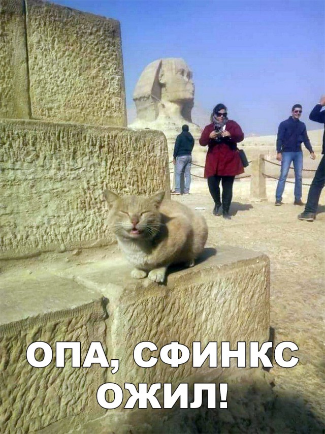 Немного милоты