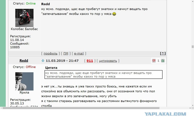 Шницель /// кулинария