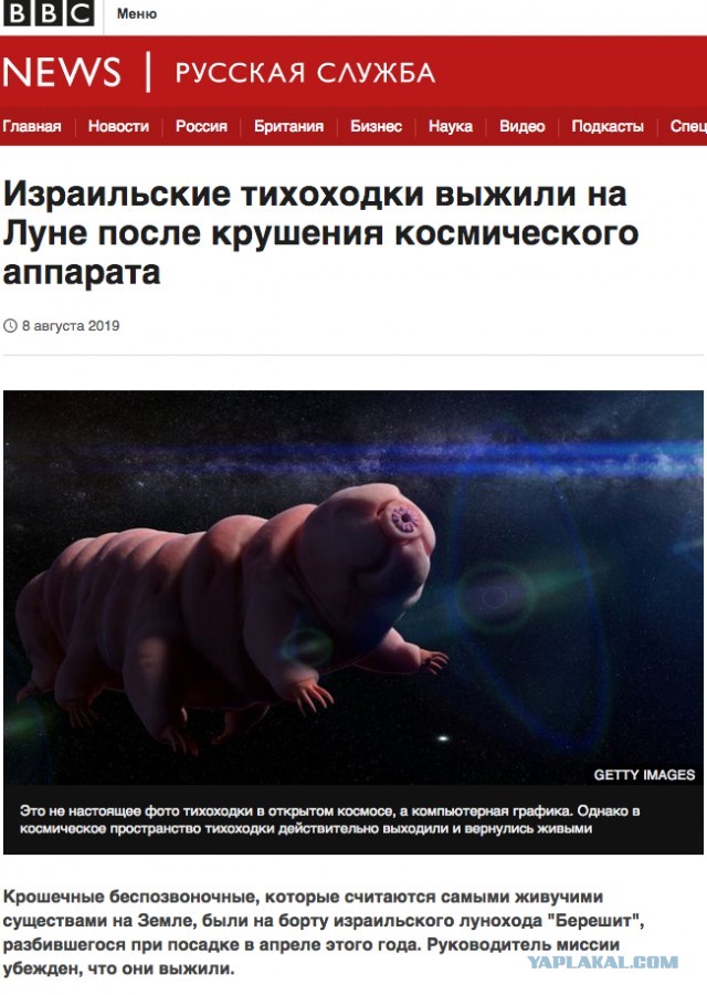 Какаем с тихоходкой!