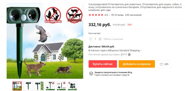 В Красноярске лицеисты решили прогнать со школьного двора животных