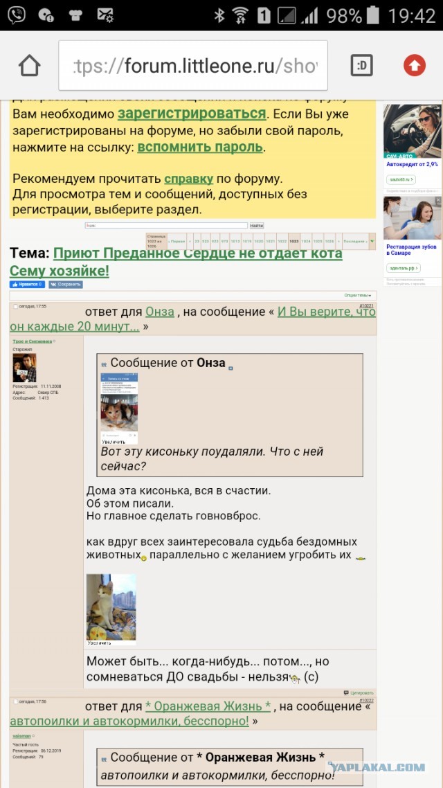 Помогите вернуть кота! Приют "Преданное сердце" украл кота и не отдает!-2
