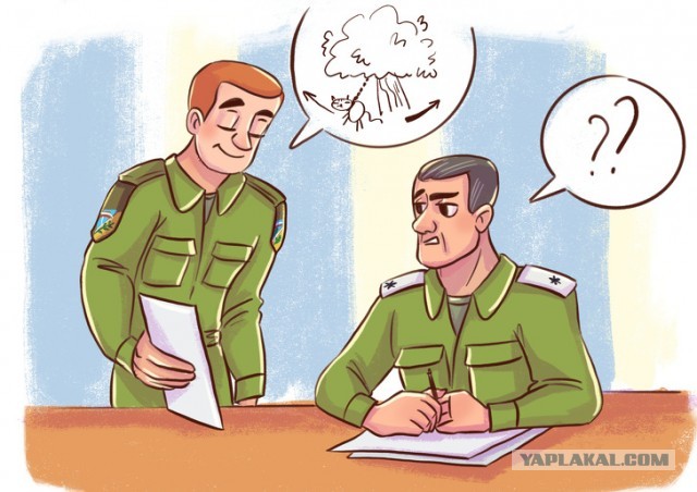 Кот развлекается