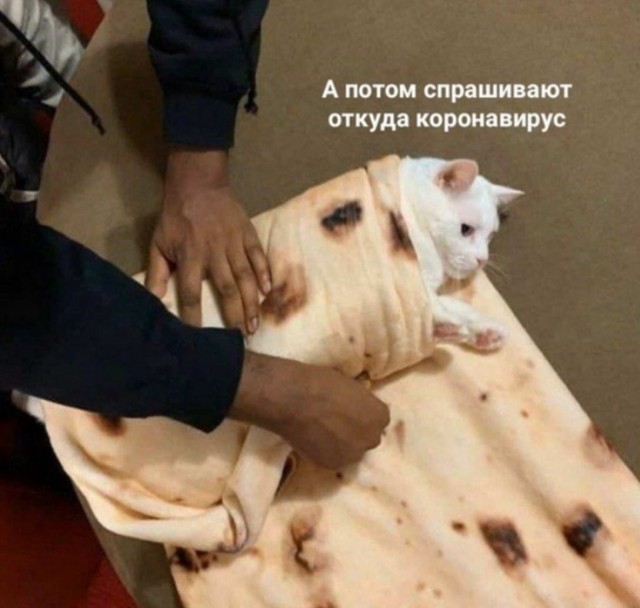 Картинки всякие разные от 14.05.2020