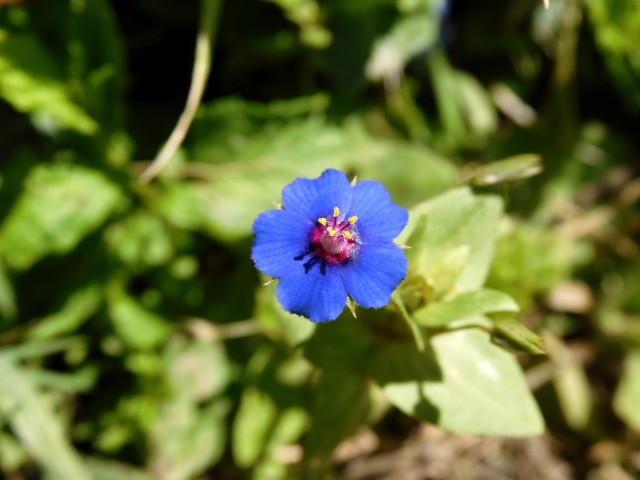 Алкогольная тема для того, чтобы выпустить пар