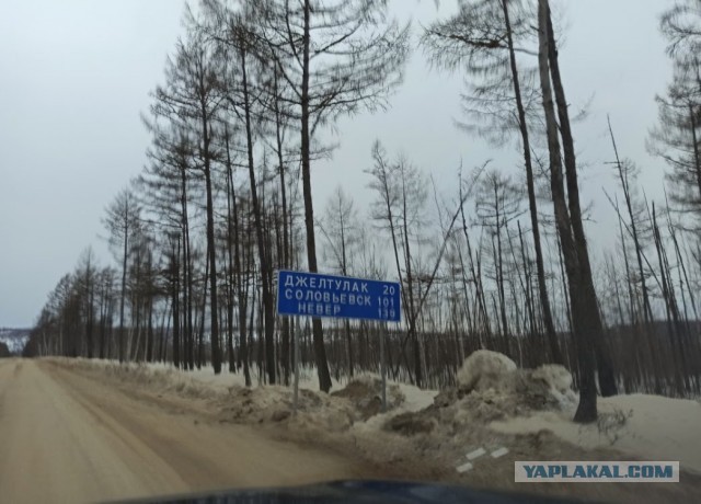 24 факта о жизни на Чукотке, доказывающих, что Крайний Север — это ни на что не похожий мир