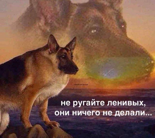 Картинки с надписями и всякие жизненные фразы 26.12.20
