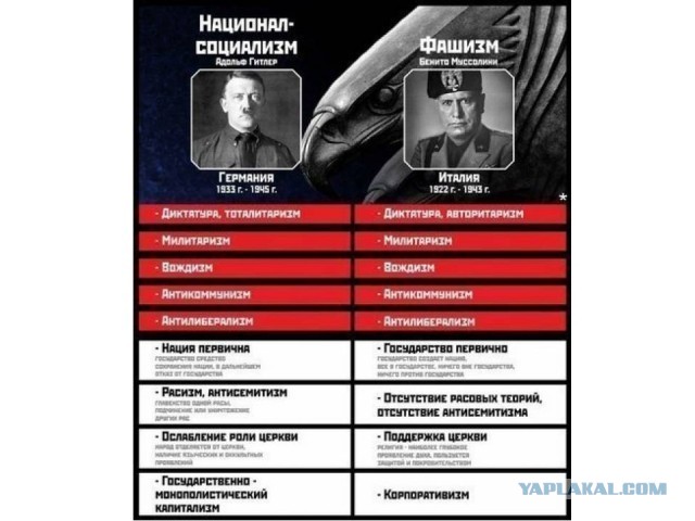 Стая собак заживо загрызла пенсионерку в бурятском селе