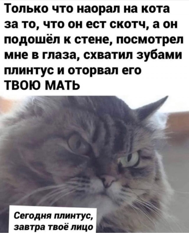 Там где вы учились, мы преподавали