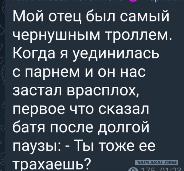 Чуток картинок 31.01.22