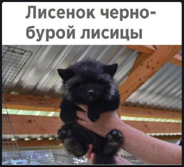 Картинки с надписями и всякие жизненные фразы
