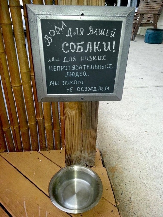 Так себе картинки 06.08.22