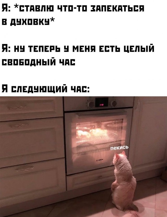 Особенности национальной охоты. Теперь у тебя есть 200 сортов колбасы. Теперь у вас все есть. Раньше жили плохо но долго. Миром управляют мемы.