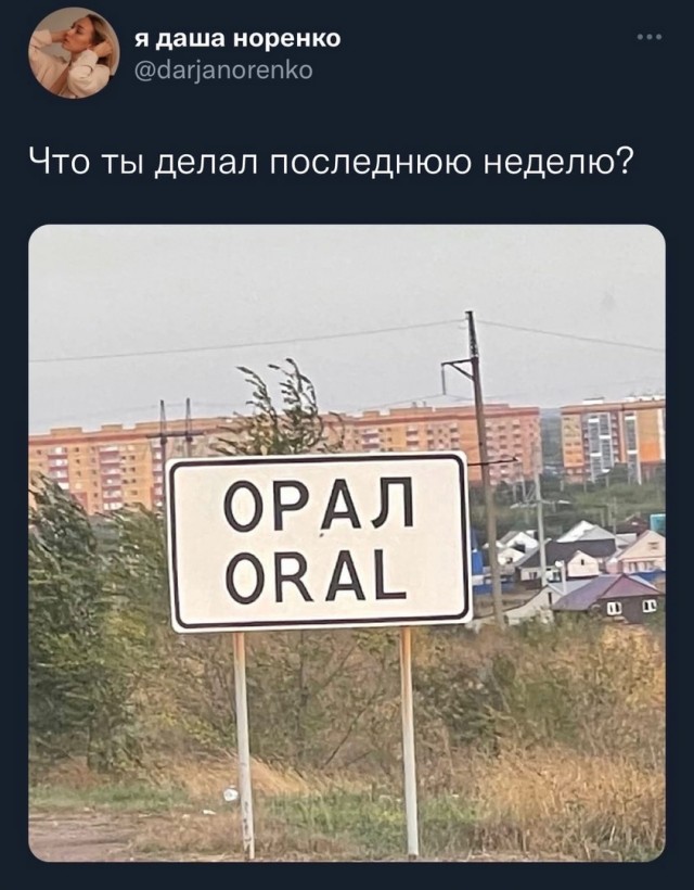 Так себе картинки 19.10.22