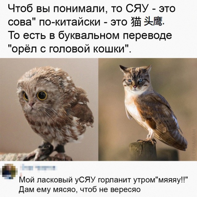 Картинки и мемы. Выходные близко...