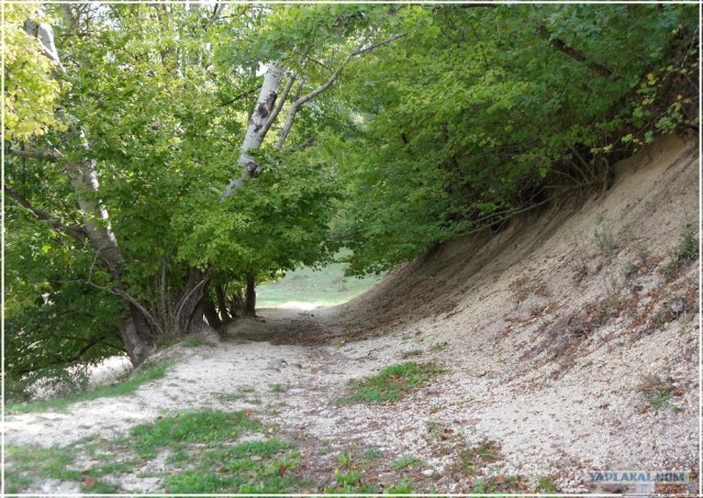 Крым. Новоульяновка. Водохранилище.