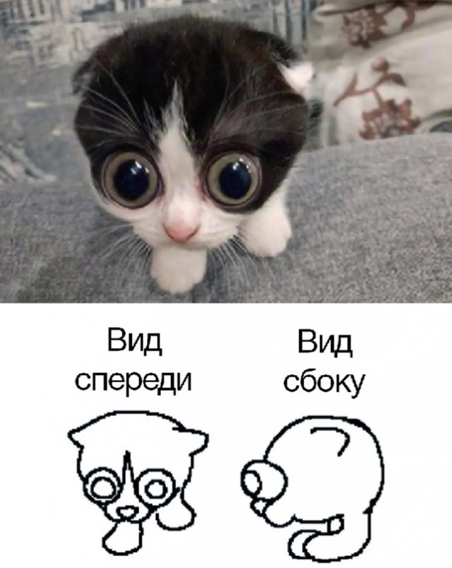 Немного картинок для настроения - 135