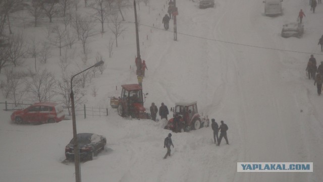 23 марта. Киев. Весна.