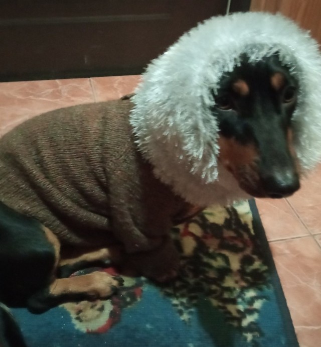 Мы пропустили