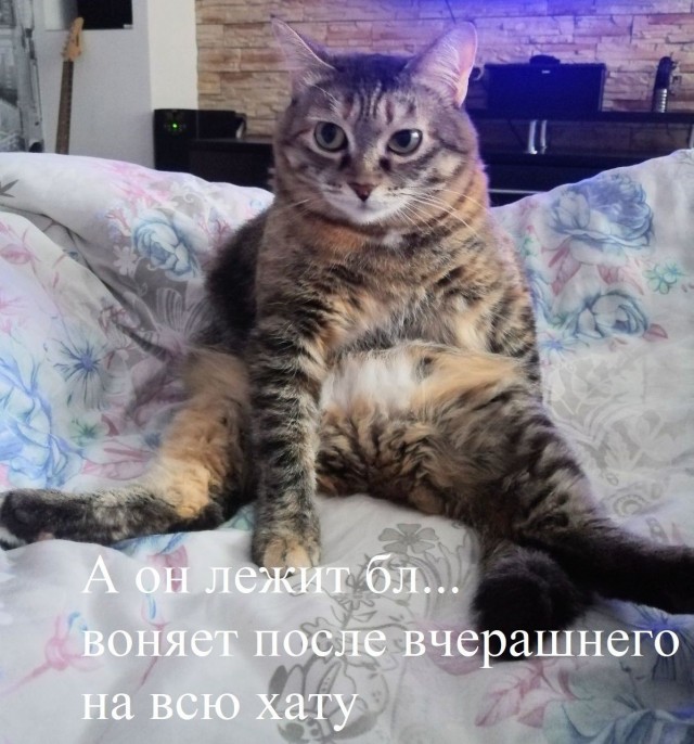 Дождалась