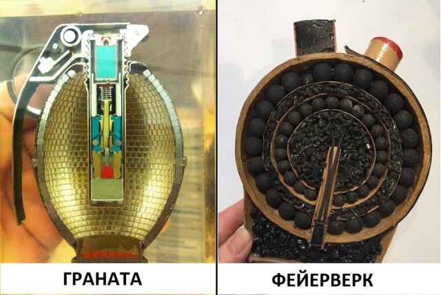"А что там внутри?": привычные вещи в разрезе