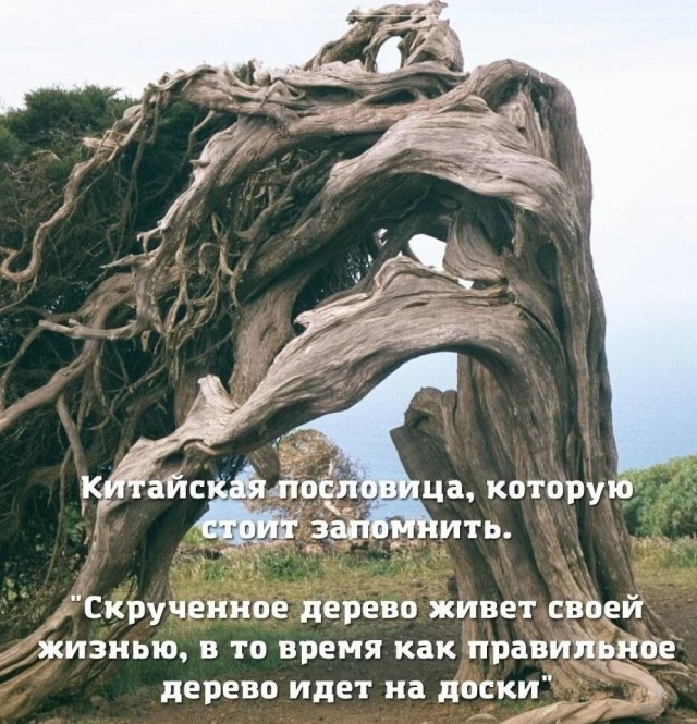 Картинки и мемы, всем хороших выходных
