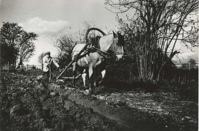 Фотограф Борис Михалевкин: тихая жизнь