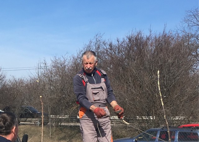 Стиль⁠⁠