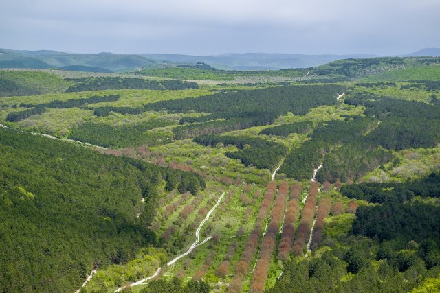 Пещерный город Чуфут-Кале, Крым