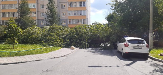 8 человек погибли в результате урагана в Марий Эл. Еще 10 были доставлены в больницы